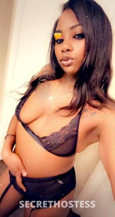 29Yrs Old Escort Phoenix AZ Image - 3