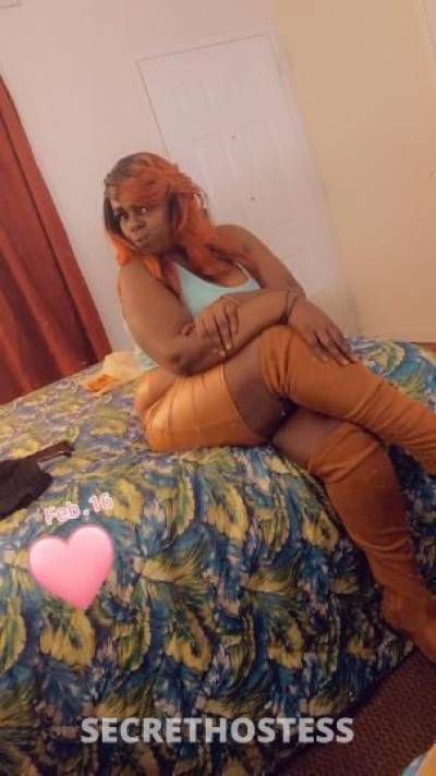 32Yrs Old Escort North Mississippi MS Image - 8