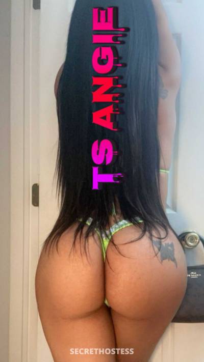 Angie 27Yrs Old Escort Long Island NY Image - 5