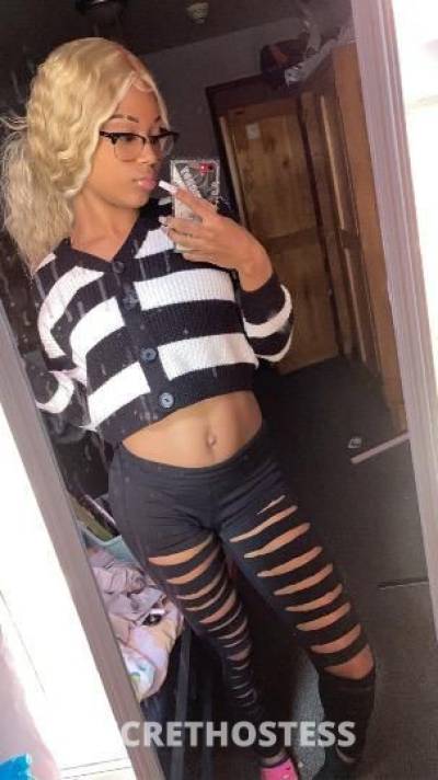 Asiia 19Yrs Old Escort Ann Arbor MI Image - 0