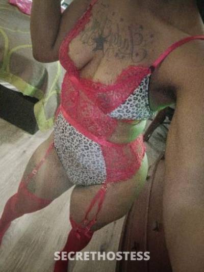 Diamond 23Yrs Old Escort North Mississippi MS Image - 1