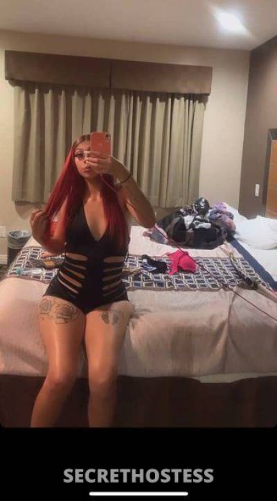 Erica 22Yrs Old Escort 165CM Tall Stockton CA Image - 3