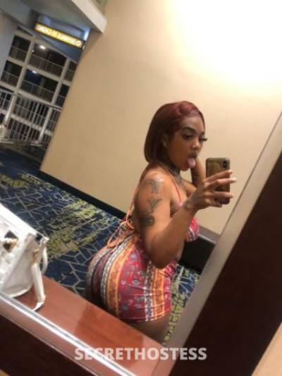 Fiji 21Yrs Old Escort Saint Louis MO Image - 5