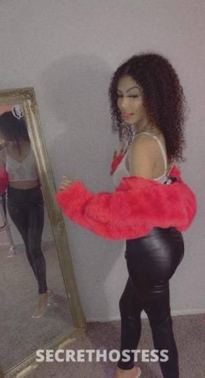 Honey 28Yrs Old Escort Nashville TN Image - 5