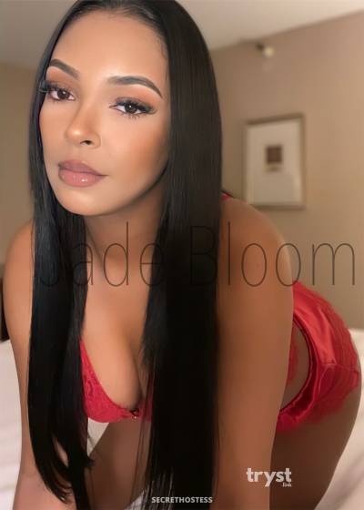 Jade 20Yrs Old Escort Size 6 San Francisco CA Image - 6