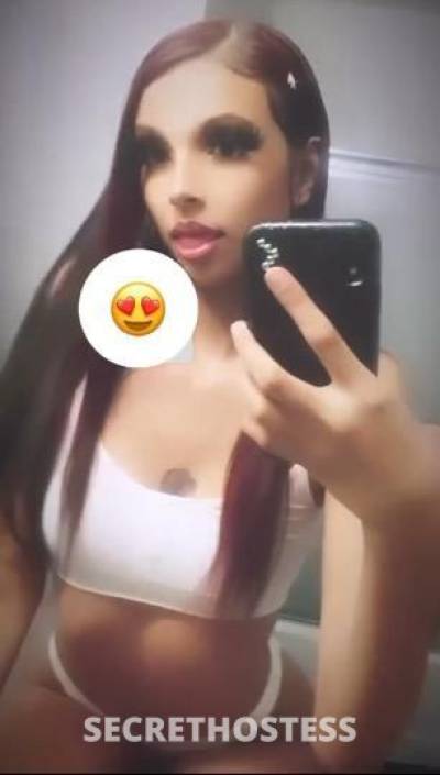 19 year old Escort in Fresno CA SEXY STALLION. THE TIGHTEST &amp; WETEST IN TOWN. 