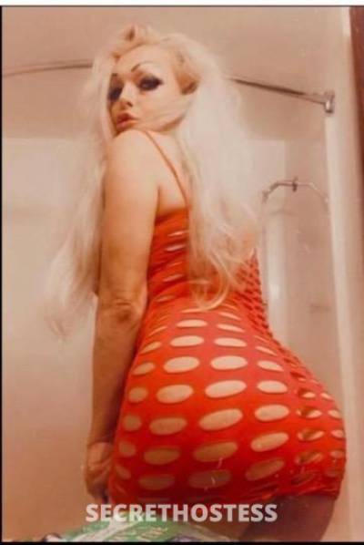 Lisa 35Yrs Old Escort Sacramento CA Image - 9