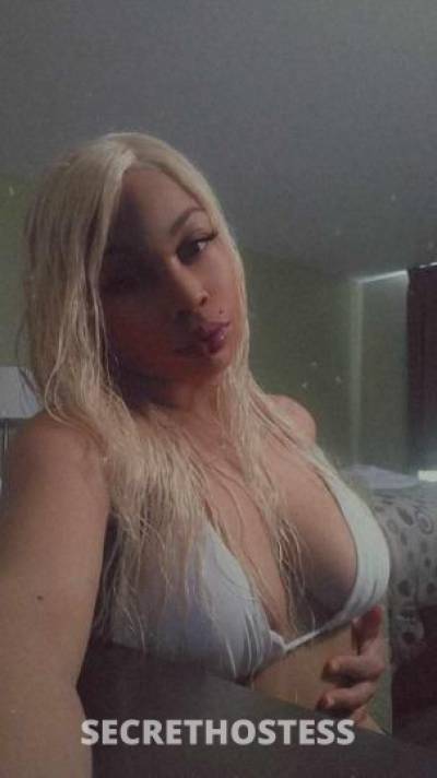 Lotusbaby 22Yrs Old Escort San Jose CA Image - 5