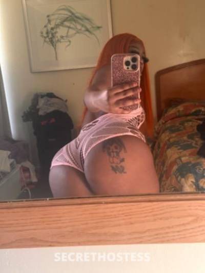 Lucylu 20Yrs Old Escort Phoenix AZ Image - 4