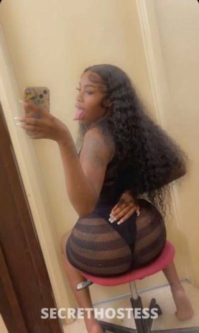 Lyly 21Yrs Old Escort Frederick MD Image - 1