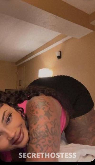 Monroe 29Yrs Old Escort 165CM Tall North Jersey NJ Image - 5