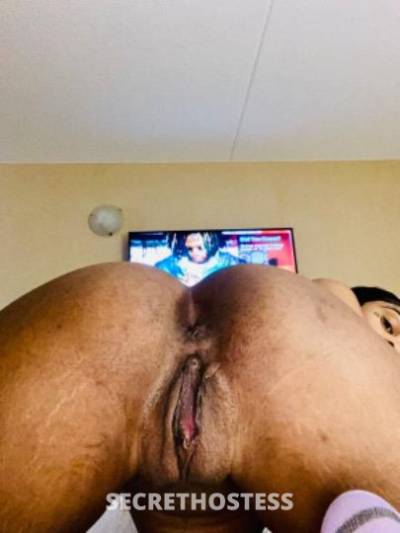 Pregopussy 24Yrs Old Escort Columbus OH Image - 2