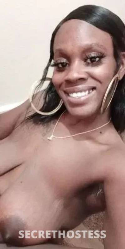 Rosa 25Yrs Old Escort Galveston TX Image - 5