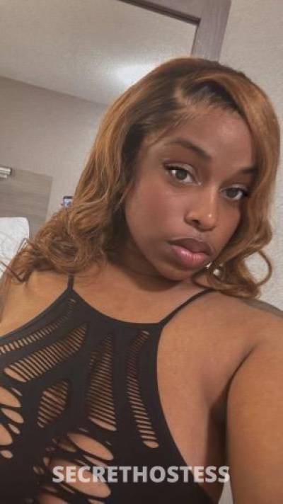 RoseMariee 26Yrs Old Escort New Orleans LA Image - 1