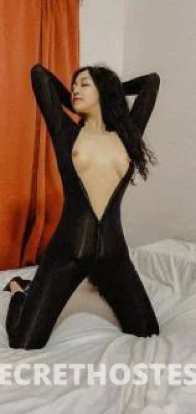 Sasa 27Yrs Old Escort Perth Image - 4