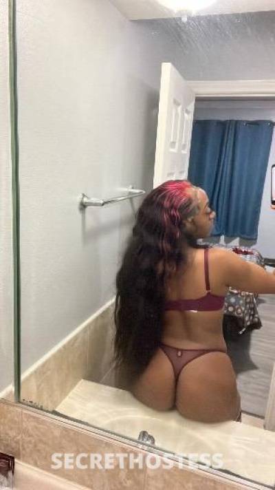 Sensation 22Yrs Old Escort Los Angeles CA Image - 4