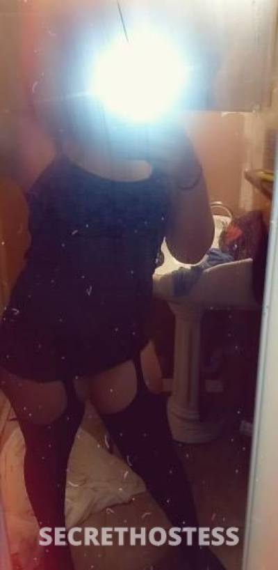 Shyne 24Yrs Old Escort Saint Louis MO Image - 1