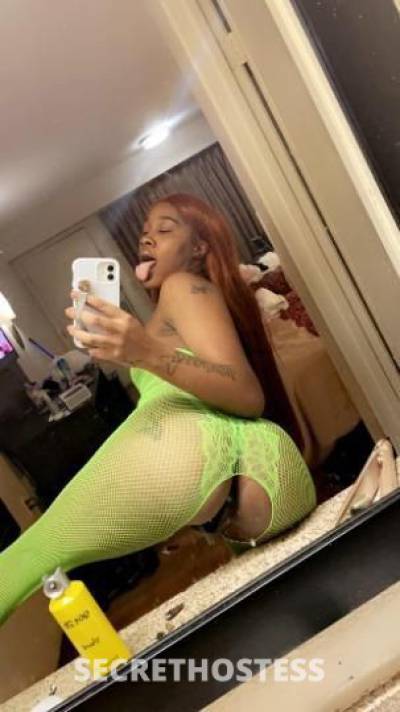 Starr 24Yrs Old Escort 180CM Tall Chicago IL Image - 4