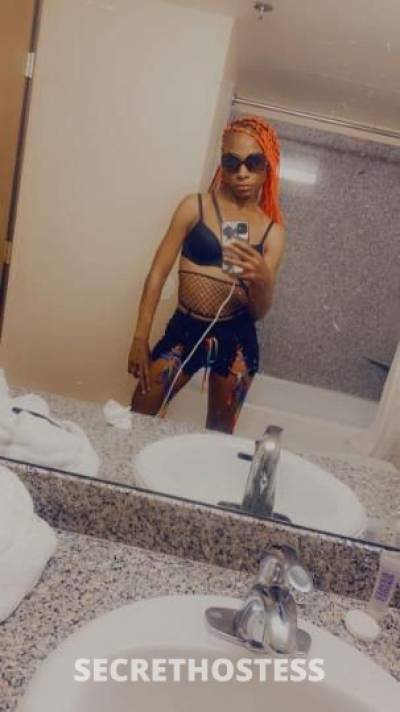 Teyana 25Yrs Old Escort San Diego CA Image - 0