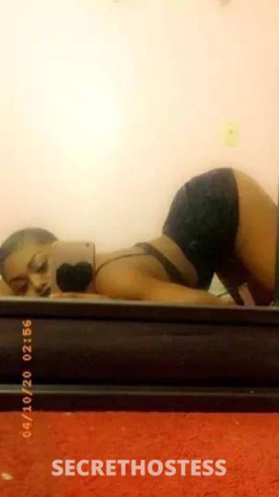  Nikki 21Yrs Old Escort Monroe LA Image - 0