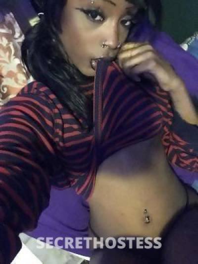 26Yrs Old Escort Cleveland OH Image - 1