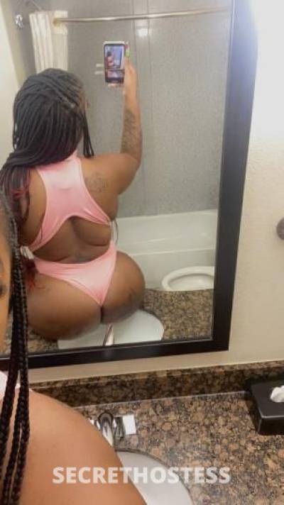 27Yrs Old Escort Raleigh NC Image - 0