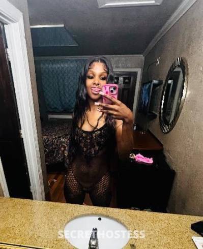 Bambii 22Yrs Old Escort Houston TX Image - 5