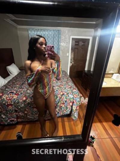 Bambii 22Yrs Old Escort Houston TX Image - 7