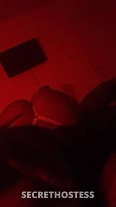 Bunni 22Yrs Old Escort Houston TX Image - 5