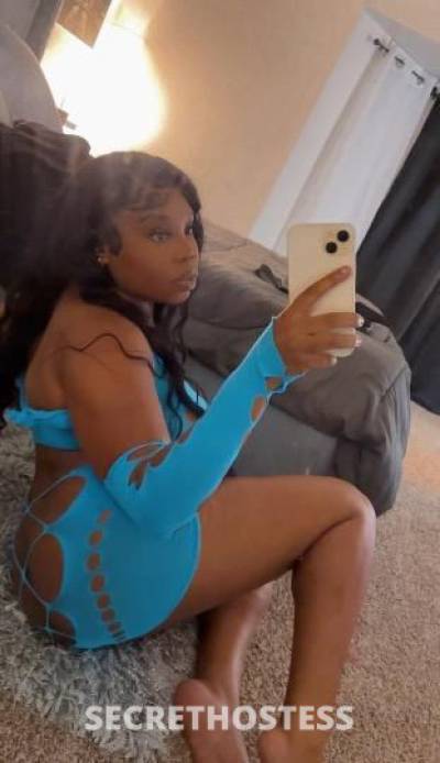 CinnCity 26Yrs Old Escort Dallas TX Image - 6