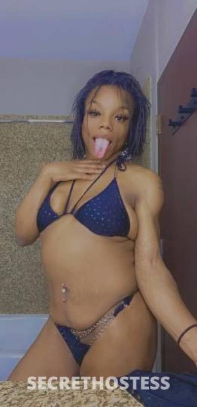 DiamondDoll 22Yrs Old Escort Fort Worth TX Image - 0