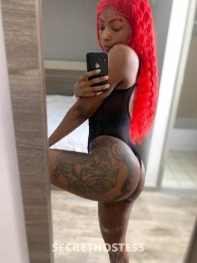 Ebony 29Yrs Old Escort Columbia SC Image - 3