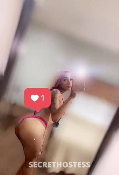 23Yrs Old Escort Los Angeles CA Image - 2