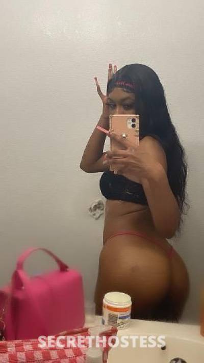 Cinnamon 21Yrs Old Escort Inland Empire CA Image - 6