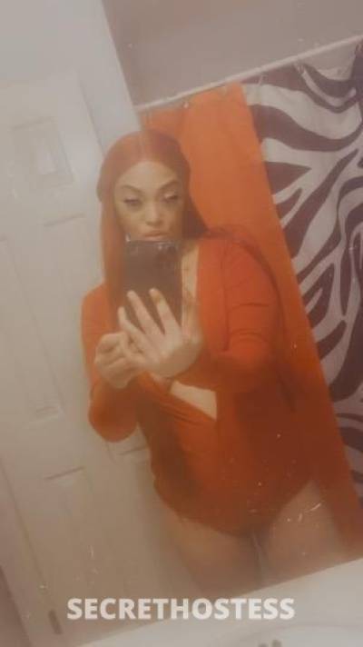 Diamond 29Yrs Old Escort Little Rock AR Image - 8