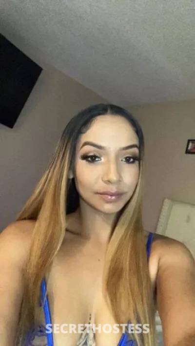 Paola 22Yrs Old Escort 172CM Tall Minneapolis / St. Paul MN Image - 1