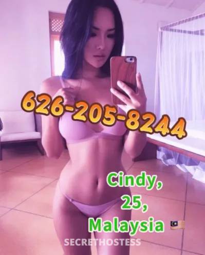 Rose 24Yrs Old Escort Minneapolis / St. Paul MN Image - 1