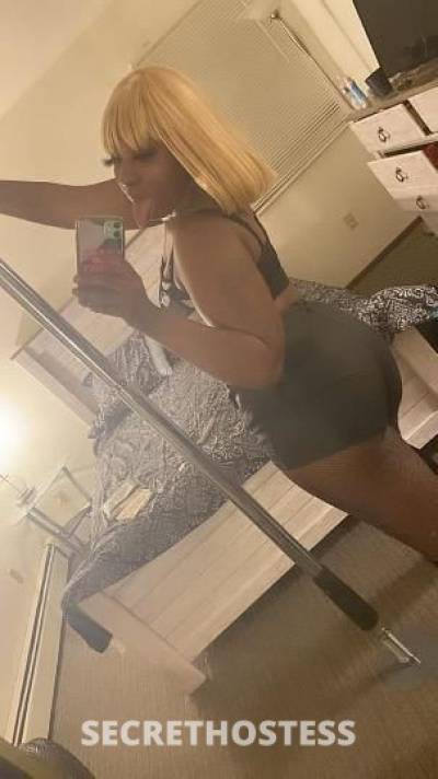 Sexdoll 24Yrs Old Escort Milwaukee WI Image - 4