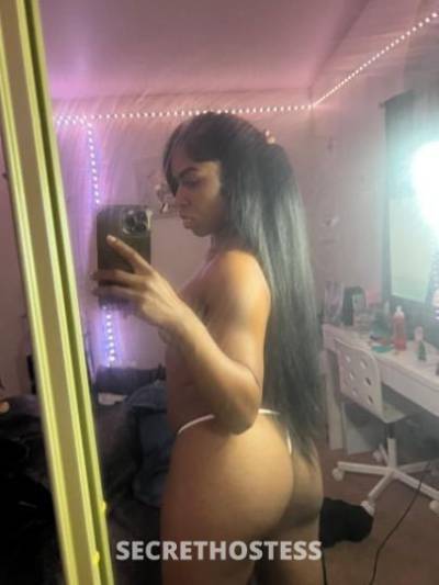 19Yrs Old Escort Los Angeles CA Image - 2