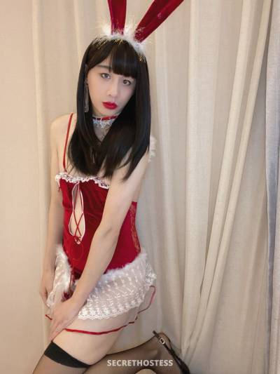 25Yrs Old Escort 172CM Tall Taipei Image - 3