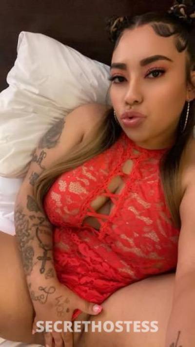 26 Year Old Latino Escort San Jose CA - Image 2