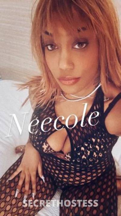 27 year old Caribbean Escort in Harrisburg PA Fetish friendly Ethiopian Cuban Vixen Neecole visits 