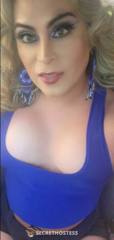 28Yrs Old Escort Long Island NY Image - 4