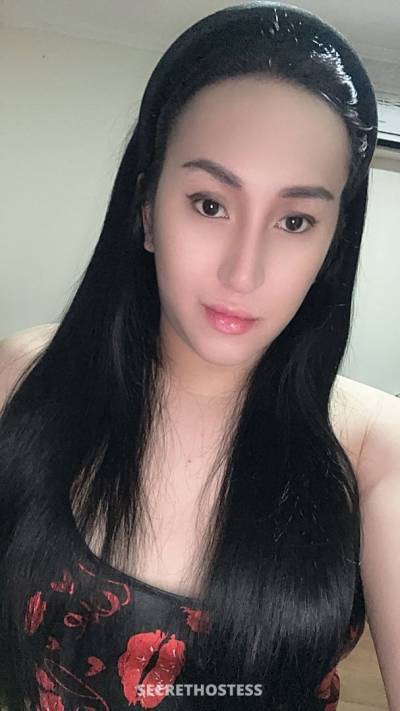 Amira, Transsexual escort in Dubai