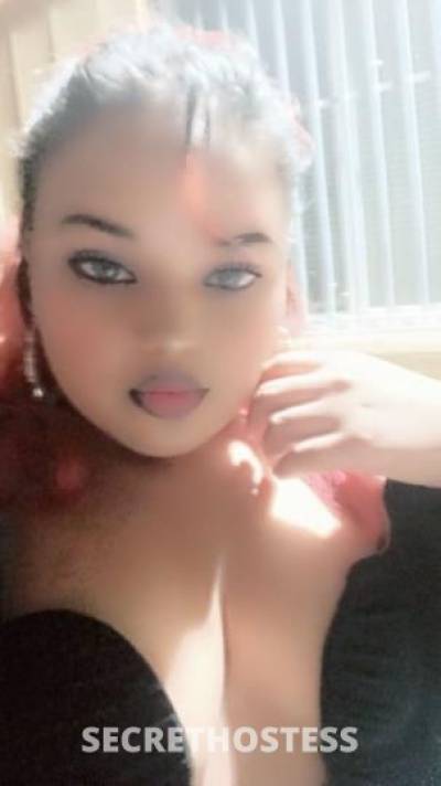 Ayihann 22Yrs Old Escort North Bay CA Image - 1