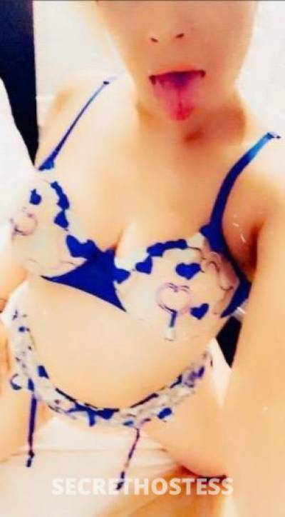 Bunnii 28Yrs Old Escort North Bay CA Image - 1