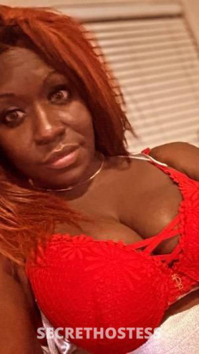 CHOCOLATE 24Yrs Old Escort Los Angeles CA Image - 0