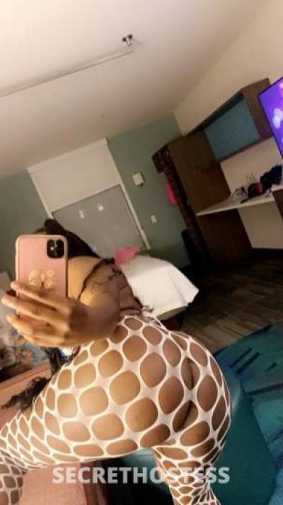 Cash😘💰✔️ 24Yrs Old Escort Fresno CA Image - 4