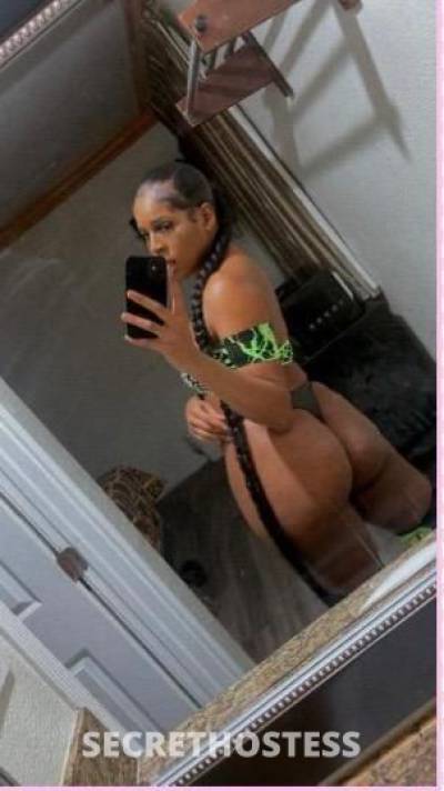 Chanel 24Yrs Old Escort Los Angeles CA Image - 2