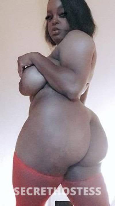 CookieCreamy 29Yrs Old Escort Sacramento CA Image - 4